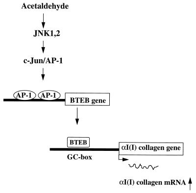 FIG. 8