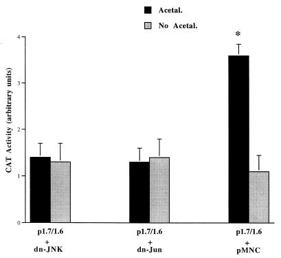 FIG. 6