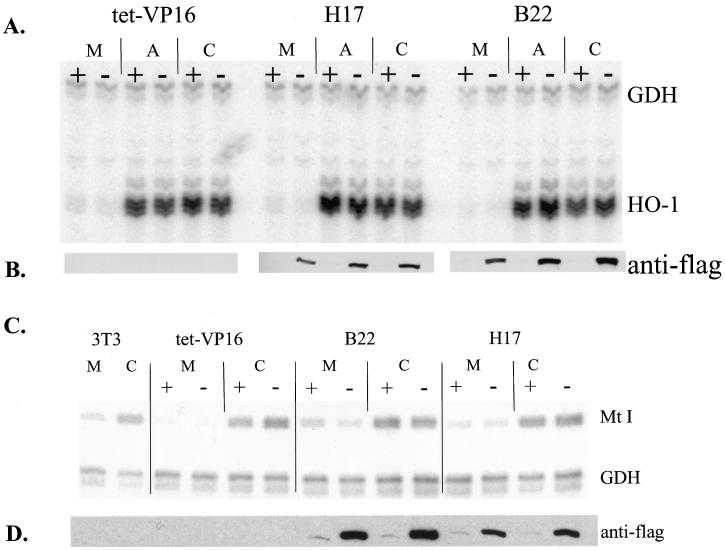 FIG. 8