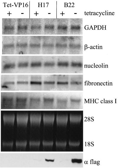 FIG. 9