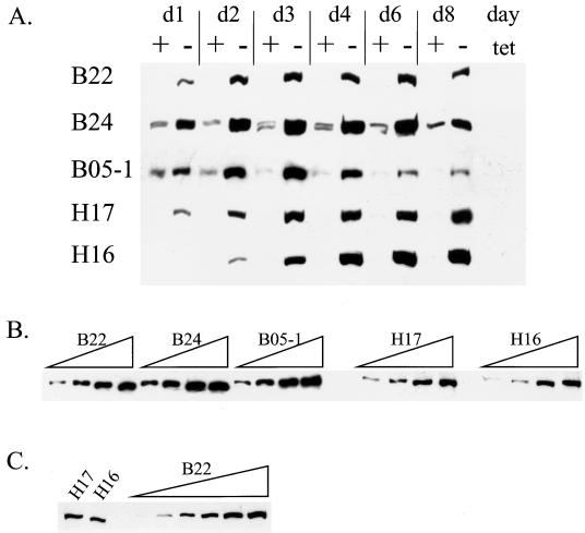 FIG. 1