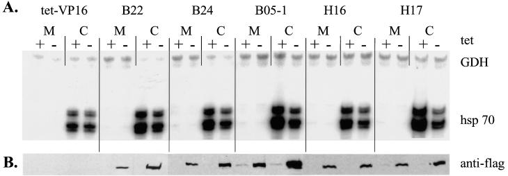 FIG. 5