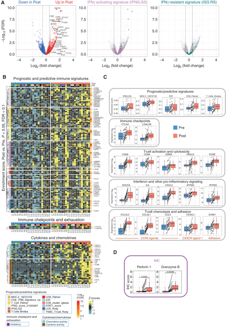 Figure 4. Intratumor transcriptomic changes induced by fasting-mimicking diet (FMD). A, Volcano plots displaying differentially expressed genes comparing post-FMD (T3) versus pre-FMD (T1) gene-level RNA-seq data using negative binomial distribution (Deseq2 package). Benjamini–Hochberg (B-H) false discovery rate (FDR) and Log2 fold change are represented. Left, red and blue colors are used to display upregulated and downregulated transcripts in post-FMD versus pre-FMD tumors, respectively; immune-related genes (see Methods and Supplementary Table S10) are colored in dark red (upregulated in post-FMD versus pre-FMD comparison) and dark blue (downregulated in post-FMD versus pre-FMD comparison); all the immune-related genes with −log10 FDR > 2.5 are labeled; additional representative immune-related genes with −log10 FDR > 1 are labeled; in the middle and left panels, transcripts belonging to the IFN-activating signature (IFNG.GS) and IFN-resistant signature (ISG.RS) are colored in purple and green, respectively. Volcano plot y-axis is truncated at −log10 FDR = 10, as no immune-related genes above that cutoff were present. B, Heat maps representing differentially expressed genes in post-FMD (T3, surgical samples) versus pre-FMD (T1, tumor biopsies) comparisons; the top panel displays genes with P < 0.05 (Wilcoxon test) and B-H FDR < 0.1 at differential gene expression analysis and included in any of the significantly modulated (P < 0.05 and B-H FDR < 0.1) prognostic/predictive signatures at single-sample gene set enrichment analysis (of the 25 evaluated prognostic/predictive signatures, 13 were significantly enriched in post-FMD vs. pre-FMD tumor samples, but one of them did not yield any differentially expressed genes, therefore only 12 signatures are represented in the heat map; Supplementary Table S10); the middle panel displays genes with P < 0.05 (Wilcoxon test) and B-H FDR < 0.1 at differential gene expression analysis and included in the exhaustion and immune checkpoint list (Supplementary Table S10); the bottom panel displays genes with P < 0.05 and B-H FDR < 0.1 at differential gene expression analysis and included in the cytokine/chemokine gene list (Supplementary Table S10). In the heat maps, all genes with B-H FDR < 0.05 are labeled, in addition with other selected genes (in brackets) with FDR between 0.1 and 0.05. C, Box plots of representative prognostic/predictive signature enrichment scores and transcripts with P < 0.05 and B-H FDR < 0.1 in the post-FMD (T3) versus pre-FMD (T1) comparison. D, Box plots of Perforin 1 and Granzyme B IHC scores in post-FMD (T3) versus pre-FMD (T1) tumors (n = 17 and n = 16, respectively).