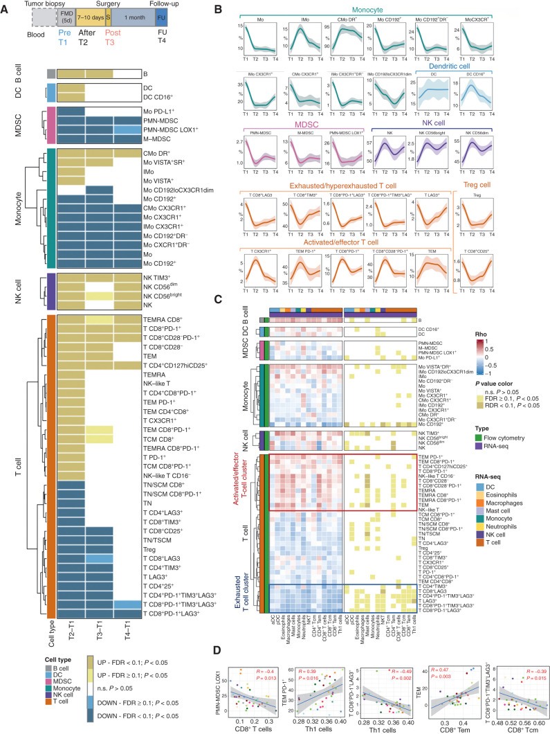 Figure 5. Dynamic effects of FMD on systemic immunity and correlation with transcriptional immune modulation at tumor site. High-dimensional flow cytometry was performed in PBMCs from 19 of 22 patients enrolled in the DigesT trial selected for tumor RNA-seq analysis. A, Samples for high-dimensional flow cytometry were collected before the FMD (T1) and at different time points after the FMD (T2, T3, T4). We assessed the expression of multiple lymphoid and myeloid markers to define a total of 120 cell subsets (see Supplementary Fig. S11–S13). The nonparametric paired Wilcoxon test was used to compare the diverse immune cell frequencies at T2 versus T1, T3 versus T1, and T4 versus T1; 57 PBMC subpopulations undergoing modifications passing the significance cutoff at least at one time point (P < 0.05, Benjamini-Hochberg FDR < 0.1) are represented in the heat map. B, Loess regression curves of representative immune cell subsets are shown to illustrate modulation across time. See Supplementary Fig. S14 for the representation of the remaining PBMC Loess regression curves related to the significantly modulated PBMC subsets. C, Heat map representing Spearman correlations between significantly modulated blood PBMC subpopulations (n = 57) and intratumor leucocyte subsets (n = 14) at T3 versus T1 in 19 patients for whom both PBMC flow cytometry and tumor RNA-seq data were available. D, Representative correlations between individual patient values of the indicated PBMC and intratumor leukocyte subsets (P < 0.05, Benjamini–Hochberg FDR < 0.1) at T1 and T3.