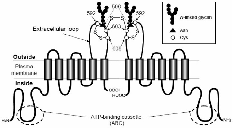 Figure 4.