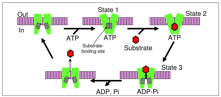 Figure 6.