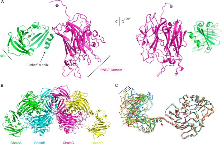 FIGURE 5.