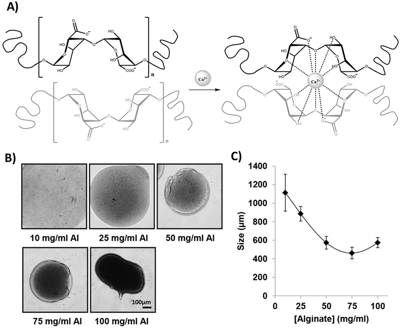 Figure 3: