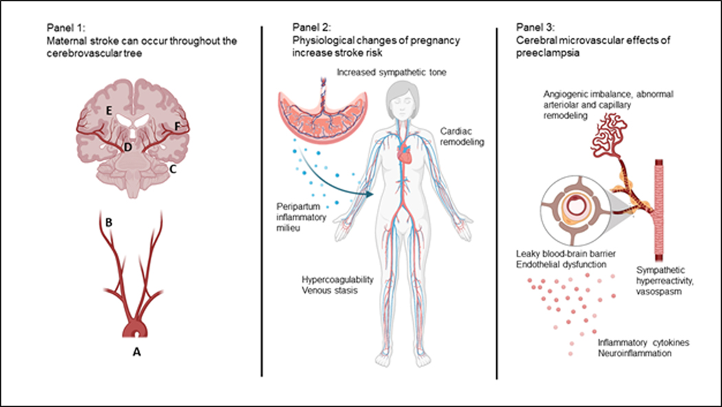 Figure 3: