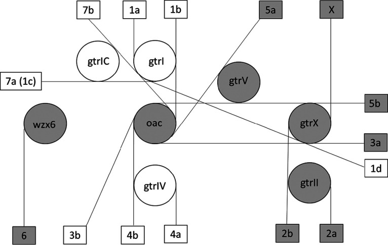 FIG 2