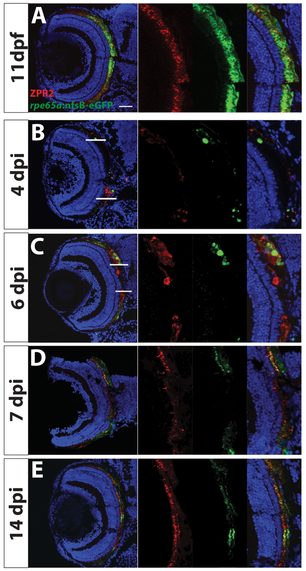 Figure 6.