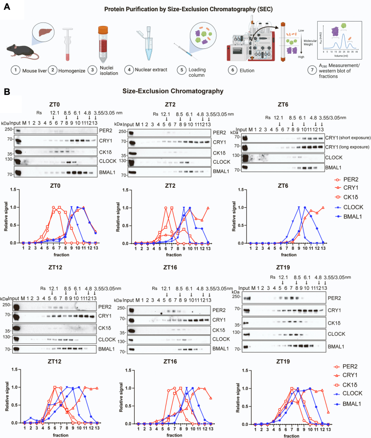 Figure 2