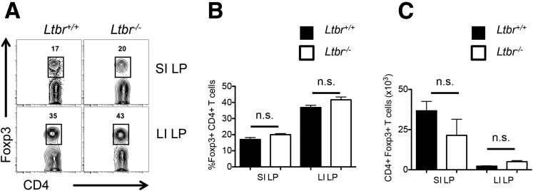 Supplementary Figure 3