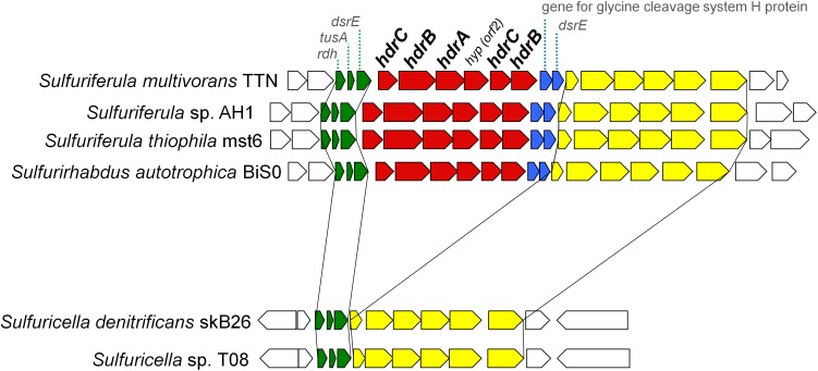 FIGURE 3