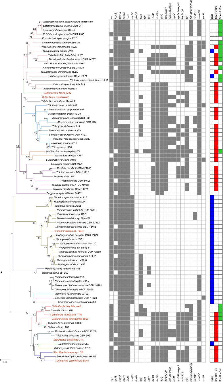 FIGURE 2