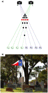 Figure 18