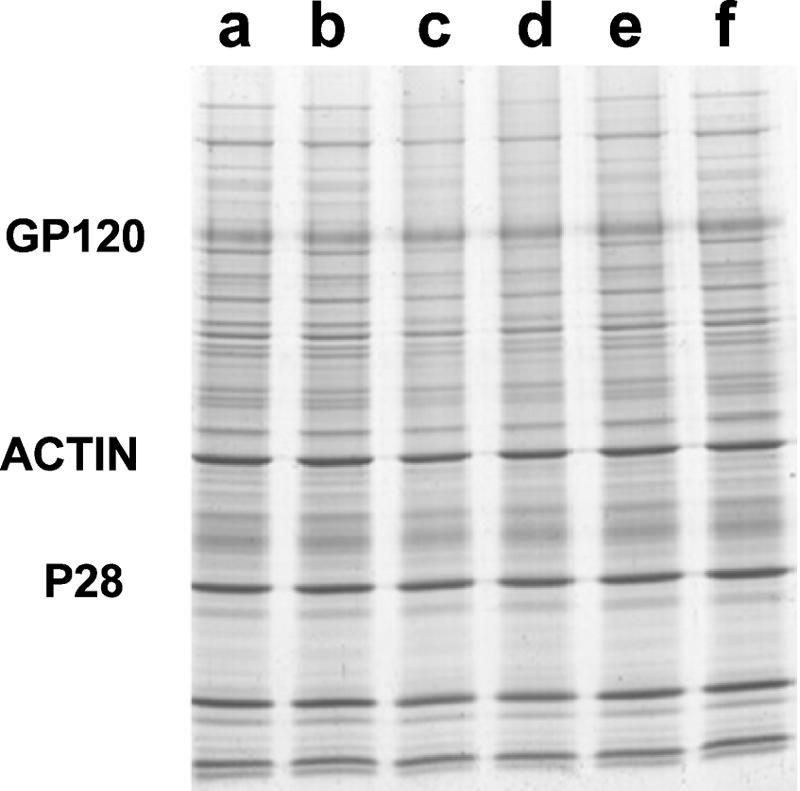 FIG. 5.