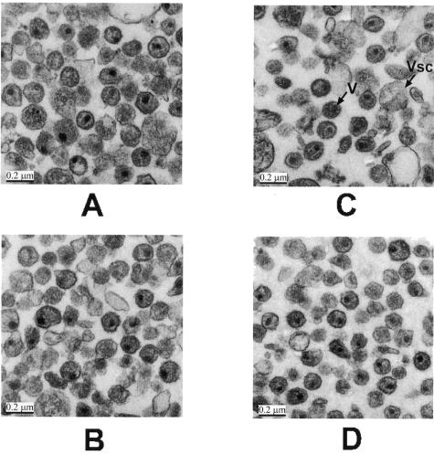 FIG. 9.