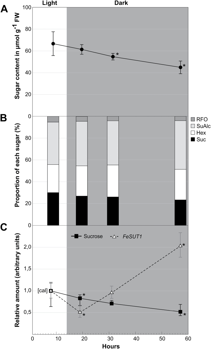 Fig. 6.