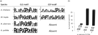 F<sc>ig</sc>. 4.—