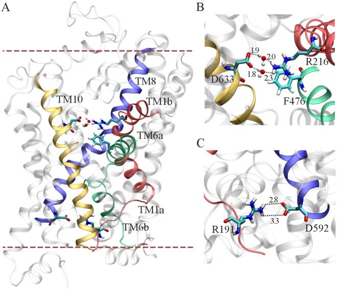 Fig 3