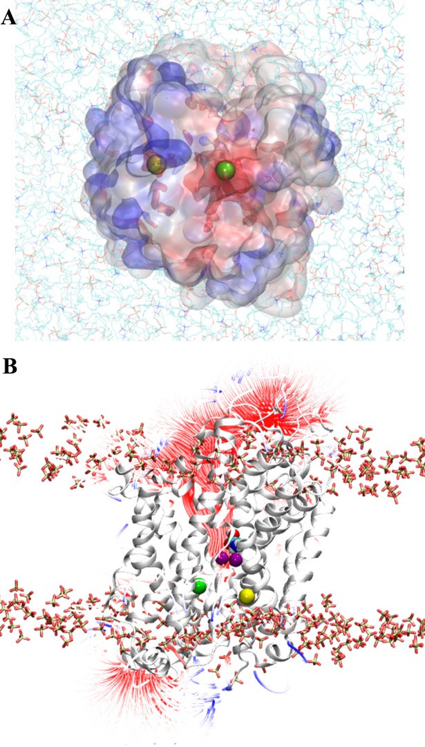 Fig 5