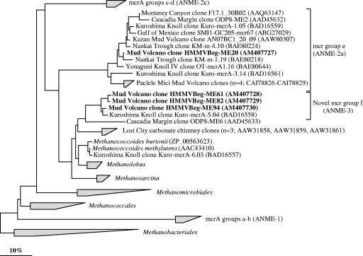 FIG. 6.