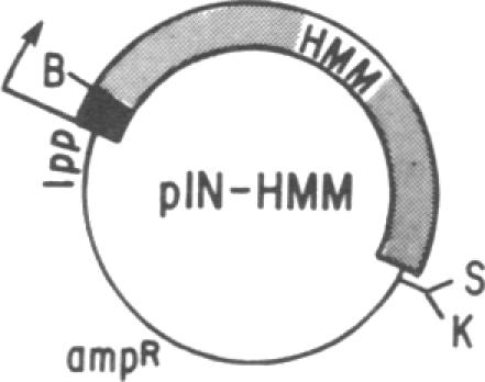 graphic file with name pnas00298-0238-a.jpg