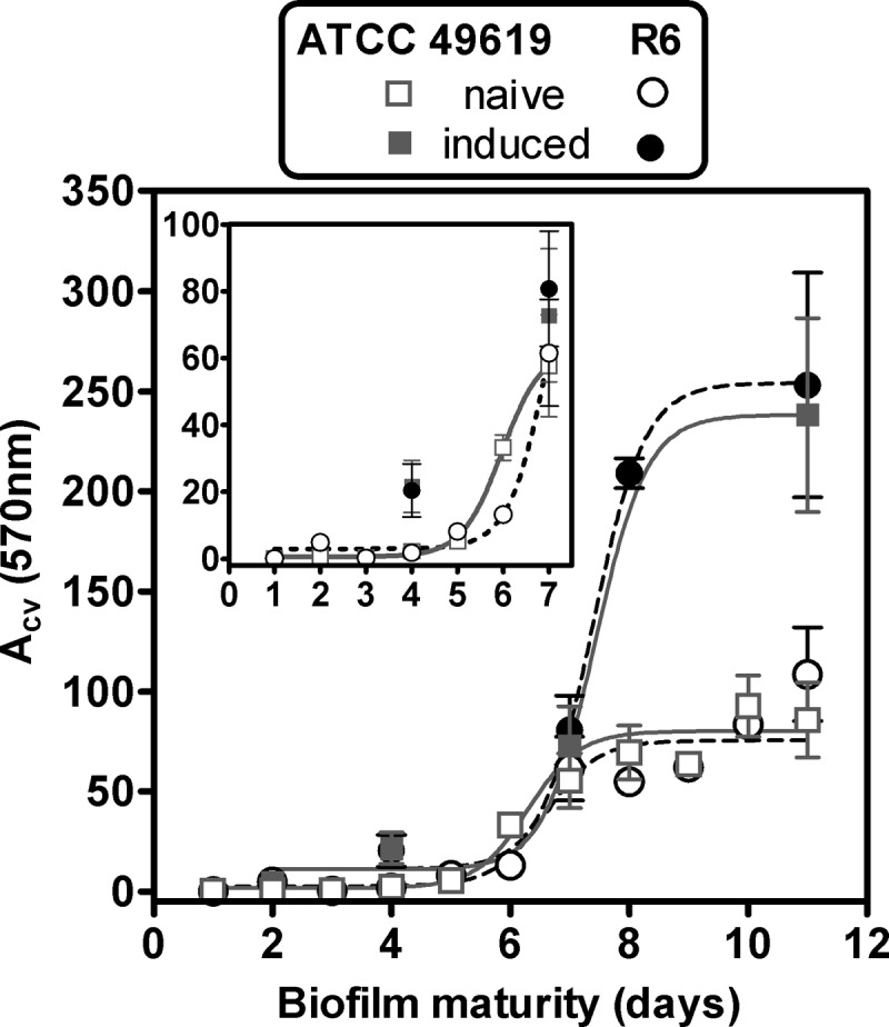 FIG 1