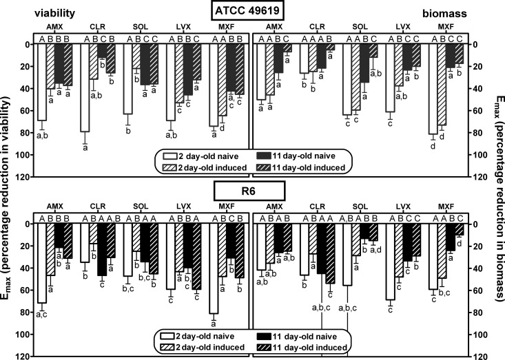 FIG 6