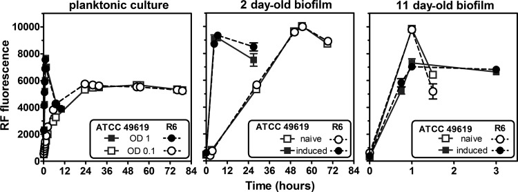 FIG 2