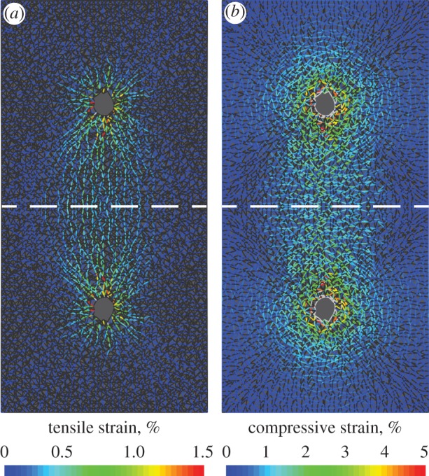 Figure 6.