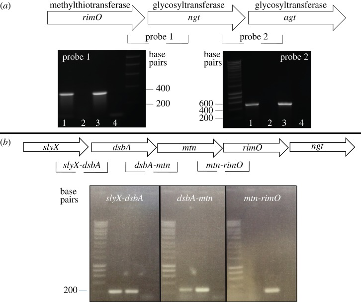 Figure 3.