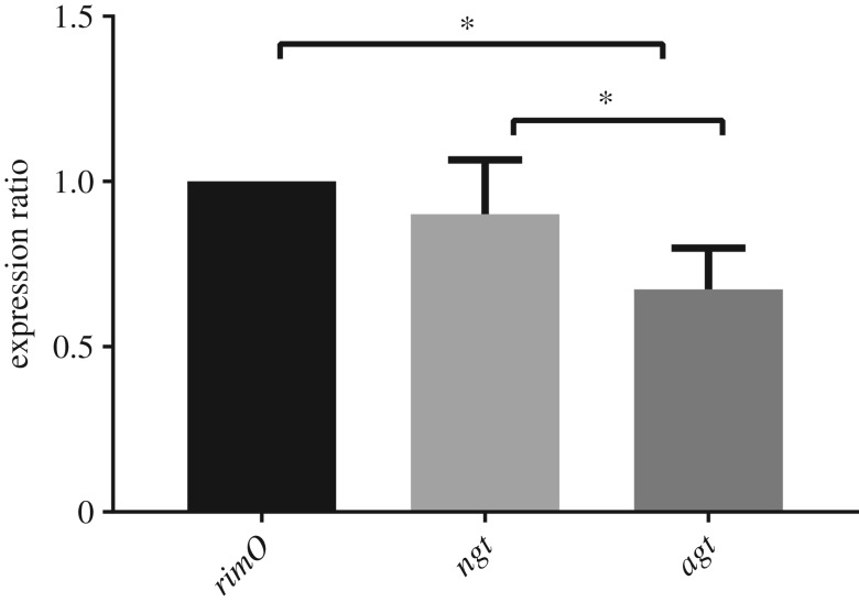 Figure 4.