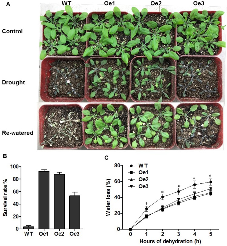 Fig 4