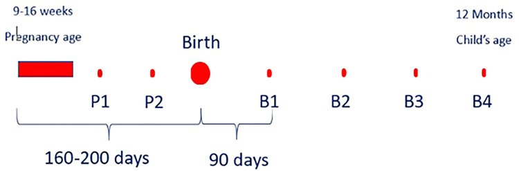 Figure 9.