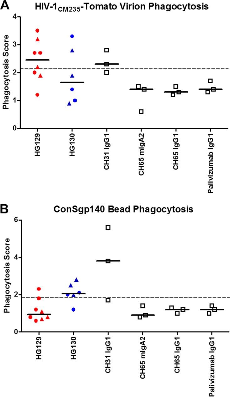 FIG 6