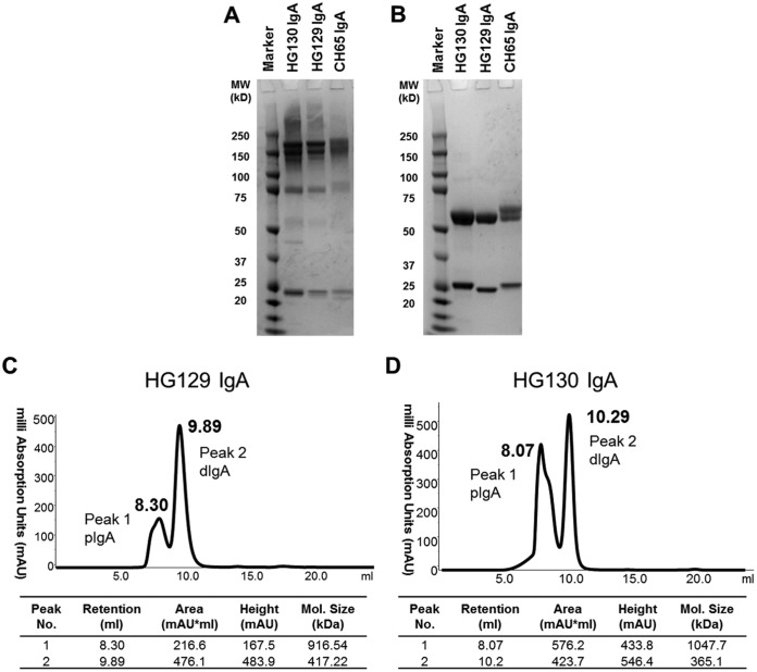 FIG 1