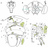 Fig. 3
