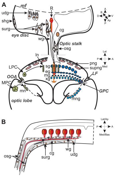 Fig. 2