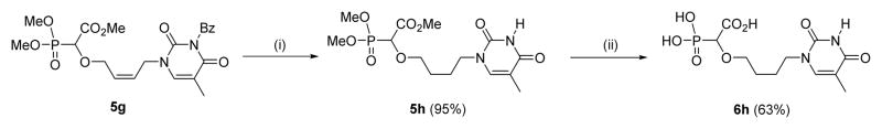 Scheme 5