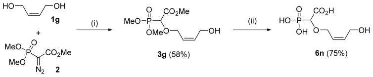 Scheme 8