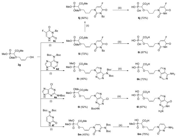 Scheme 6