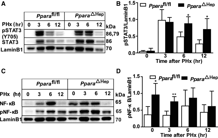 Supplemental Figure S3