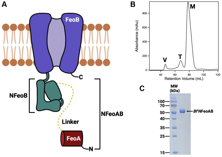 Figure 2