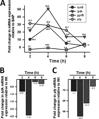 Fig. 8.