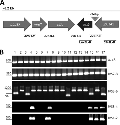 Fig. 1.