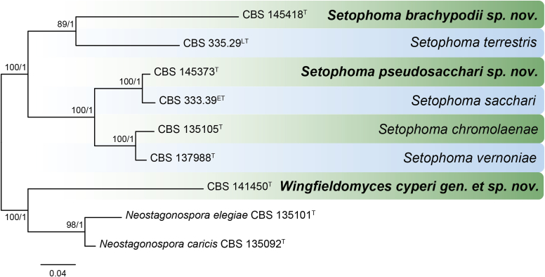 Fig. 72