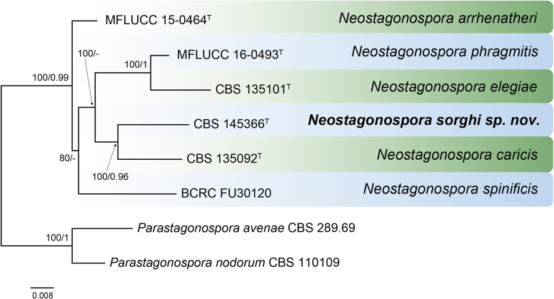 Fig. 34