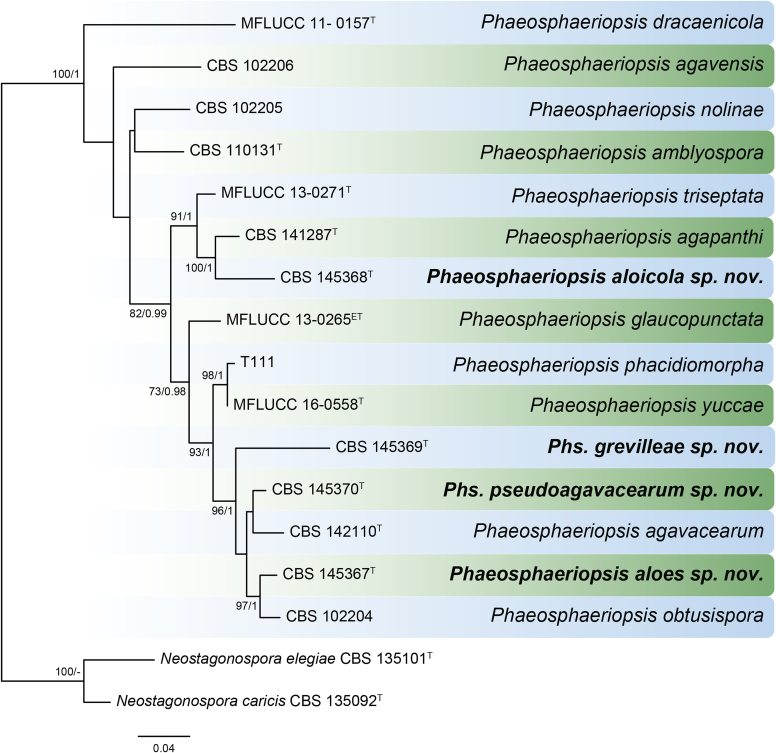 Fig. 43